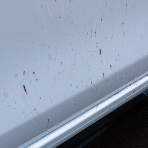 A1 "Flugrost-Entferner Gel" Flugrostentferner